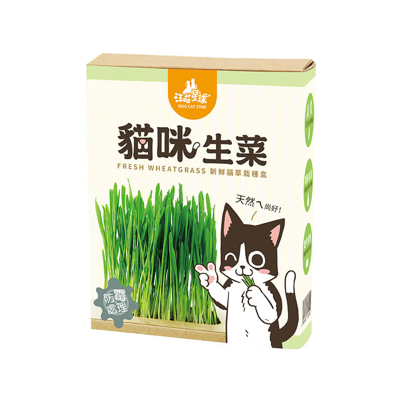 汪喵星球-貓咪生菜
DogCatStar-Cat Grass