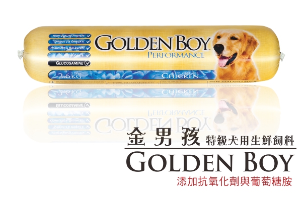 金男孩-藍標
Golden Boy Performance