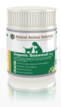 NAS有機海藻粉
Organic Seaweed
