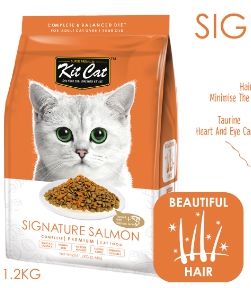 KitCat 挑嘴貓獨享(鮭魚乾配方)
KIT CAT Premium Cat Food 1.2KG - SIGNATURE SALMON