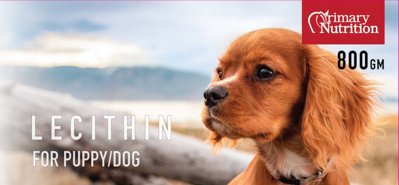 犬用濃縮卵磷脂800G
Lecithin for Dog