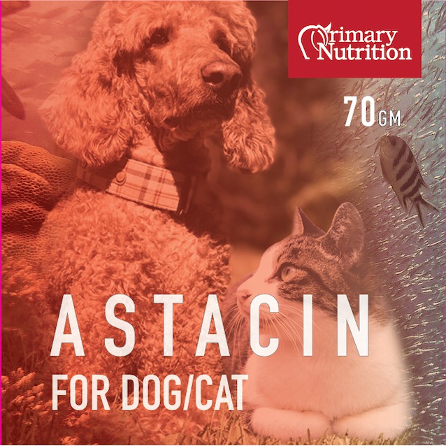 天然蝦紅素70G
Astacin for Dog and Cat