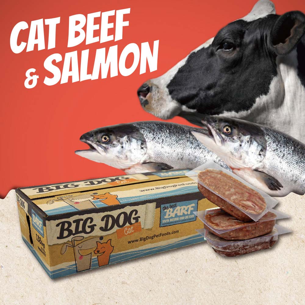 澳洲BIG DOG貓用生食肉餅｜牛肉佐鮭魚
