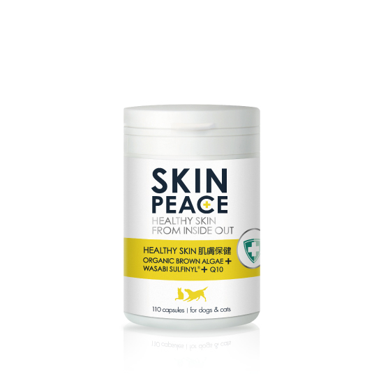 【肌本和平】肌膚保健食品
SKIN PEACE Healthy Skin