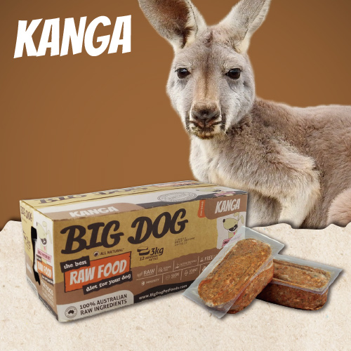 澳洲BIG DOG犬用生食肉餅｜袋鼠肉
